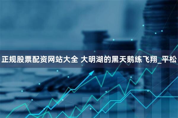 正规股票配资网站大全 大明湖的黑天鹅练飞翔_平松