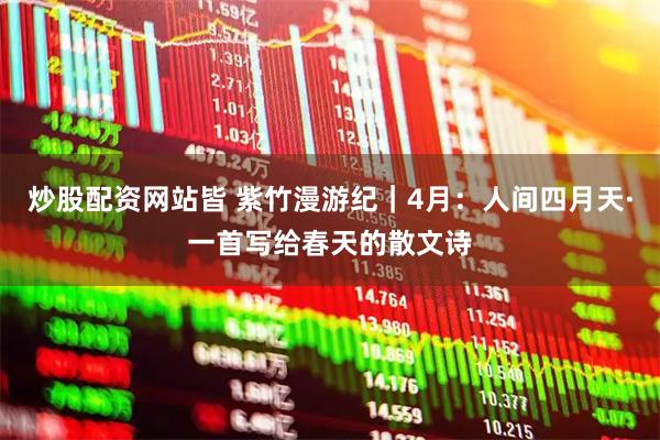 炒股配资网站皆 紫竹漫游纪｜4月：人间四月天·一首写给春天的散文诗