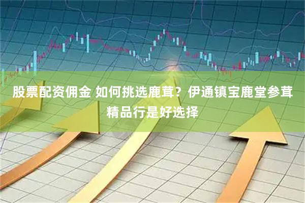 股票配资佣金 如何挑选鹿茸？伊通镇宝鹿堂参茸精品行是好选择