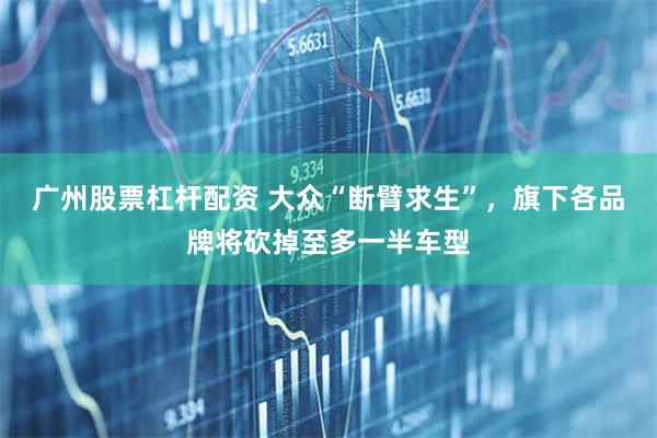 广州股票杠杆配资 大众“断臂求生”，旗下各品牌将砍掉至多一半车型